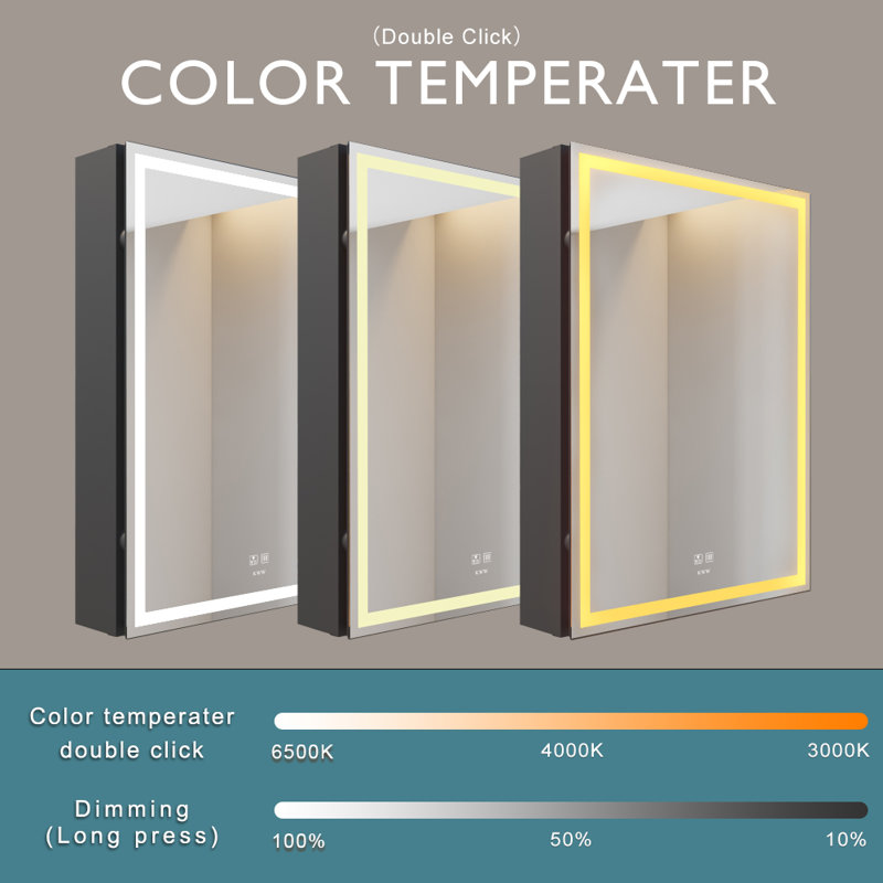 Wrought Studio DavidChristian LED Lighted Bathroom Medicine with Mirror, Defogger